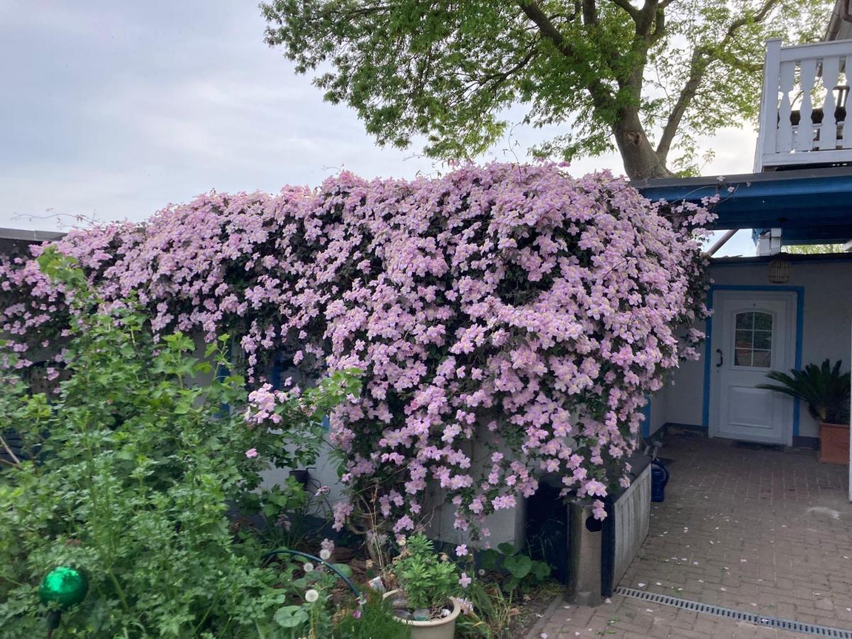 Ferienwohnung Ahoi Marie Middelhagen Exterior foto